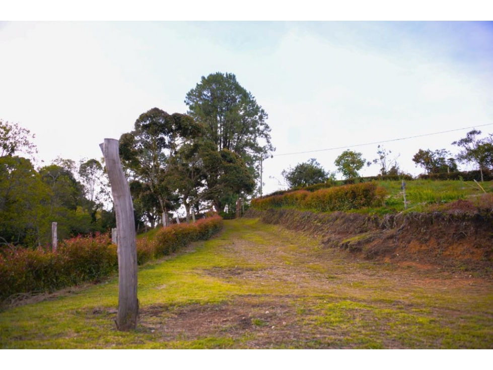 Lote en venta vereda La Clara Guarne — foto 5
