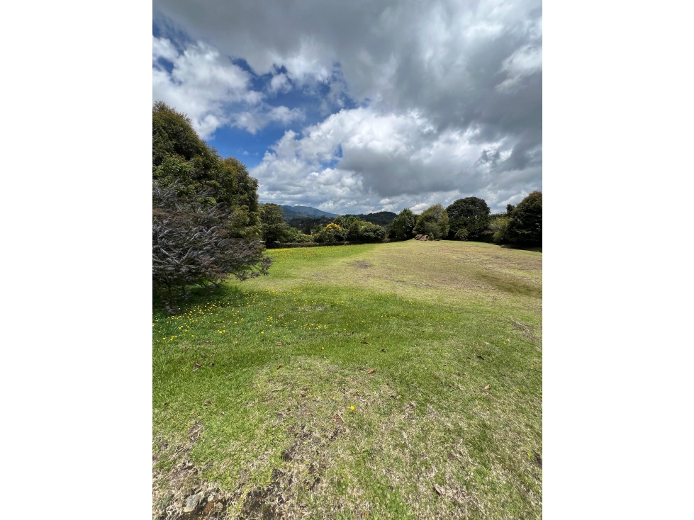 Lote en venta en Altos de Palmas — foto 5