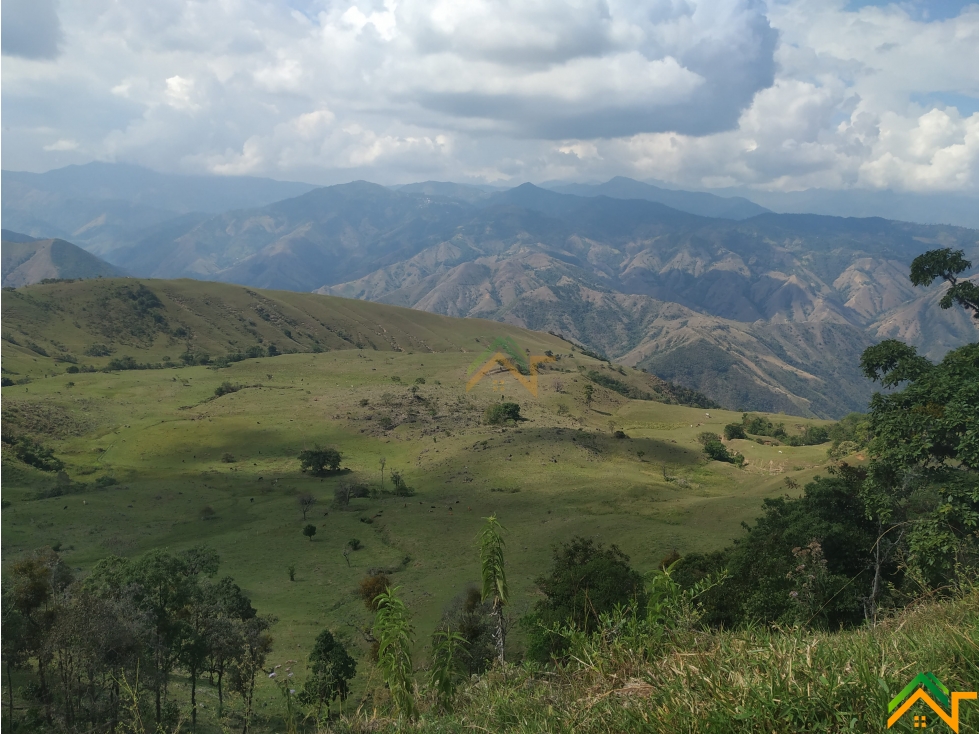 Vendo Finca de 550 cuadras en Betulia productiva y ganadera - 3