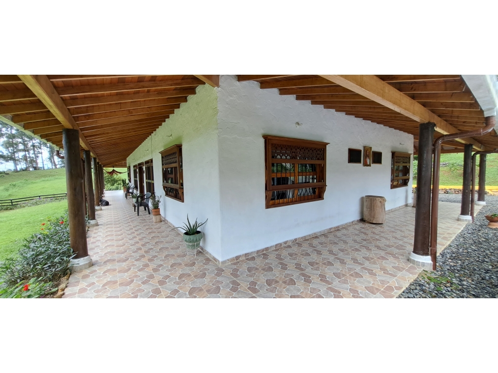 VENDO FINCA VENECIA ANTIOQUIA - 5