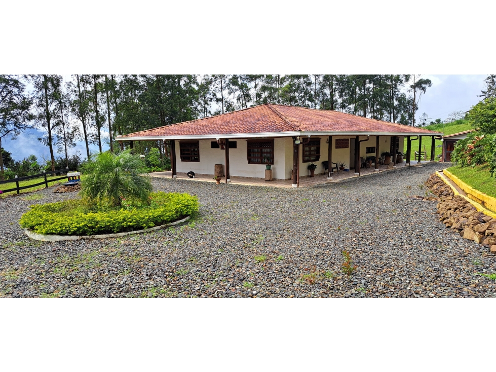 VENDO FINCA VENECIA ANTIOQUIA - 2