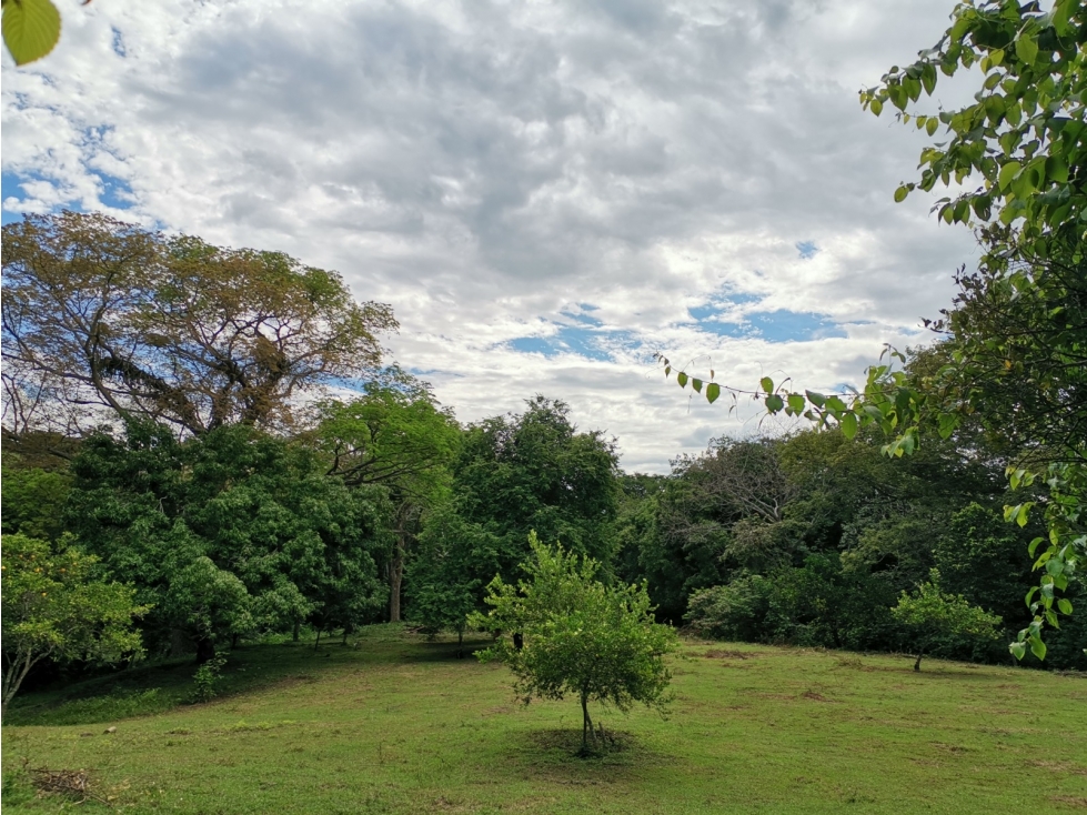 Lote en Sopetrán 10.517 m² en unidad cerrada con vigilancia — foto 5