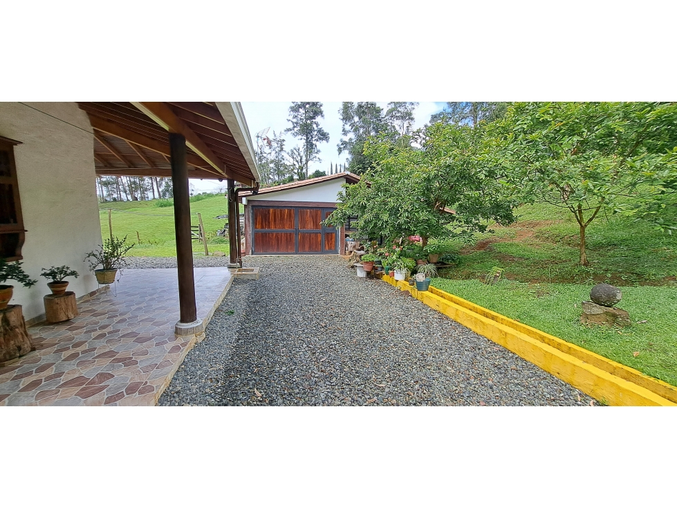 VENDO FINCA VENECIA ANTIOQUIA - 4