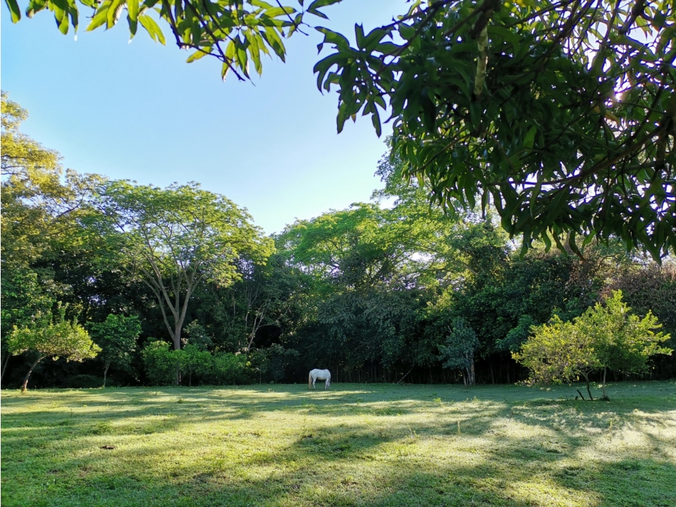 Lote en Sopetrán 10.517 m² en unidad cerrada con vigilancia — foto 4