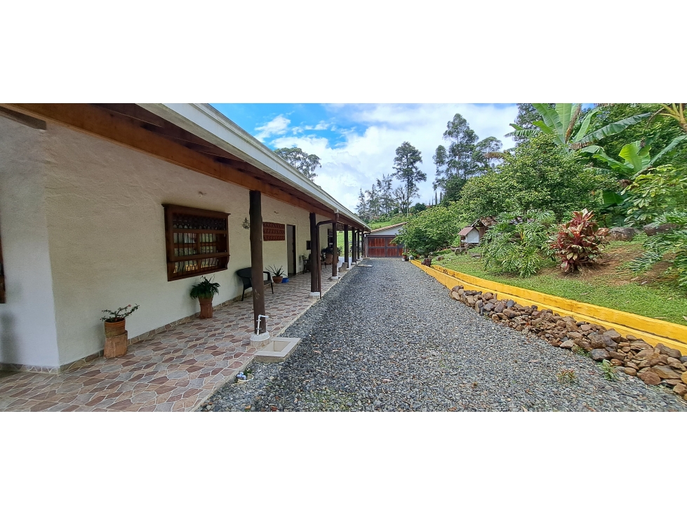VENDO FINCA VENECIA ANTIOQUIA - 3