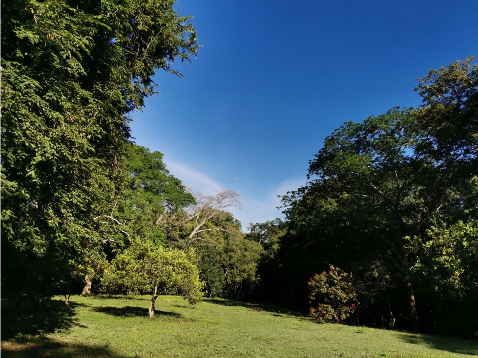 Lote en Sopetrán 10.517 m² en unidad cerrada con vigilancia — foto 6