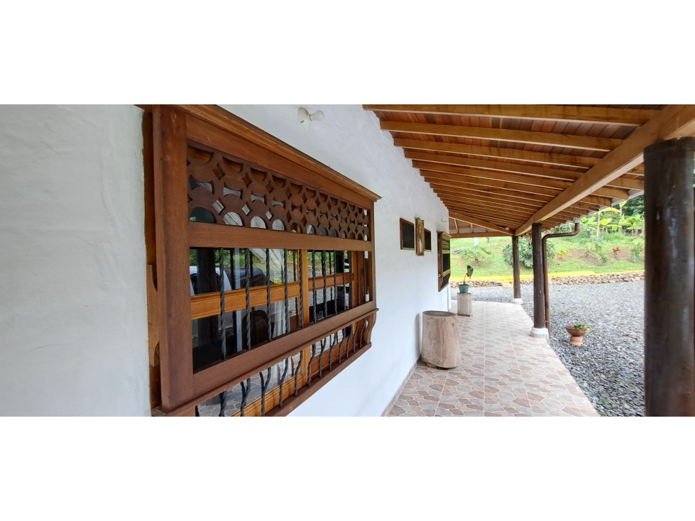 VENDO FINCA VENECIA ANTIOQUIA - 6