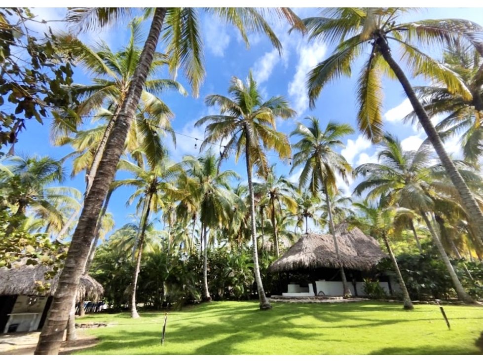 ESPECTACULAR HOTEL EN PALOMINO CON 100 MTS DE FRENTE DE PLAYA-VENTA - 1