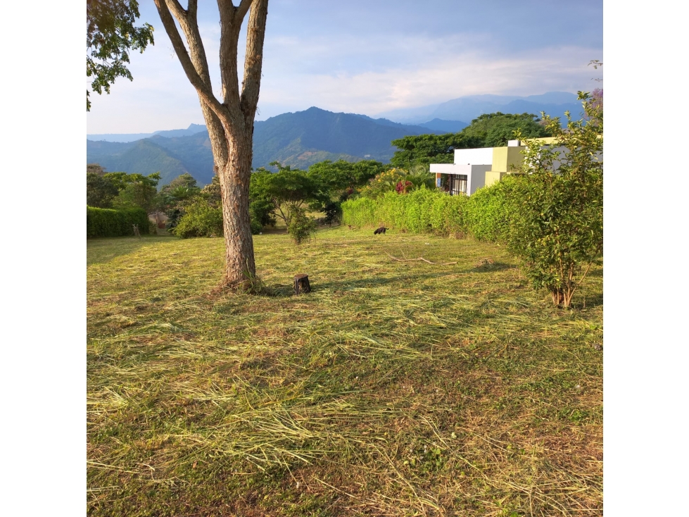 Se vende lote de 2000 M2 en 260 mill negociables en La Mesa Cund, COL