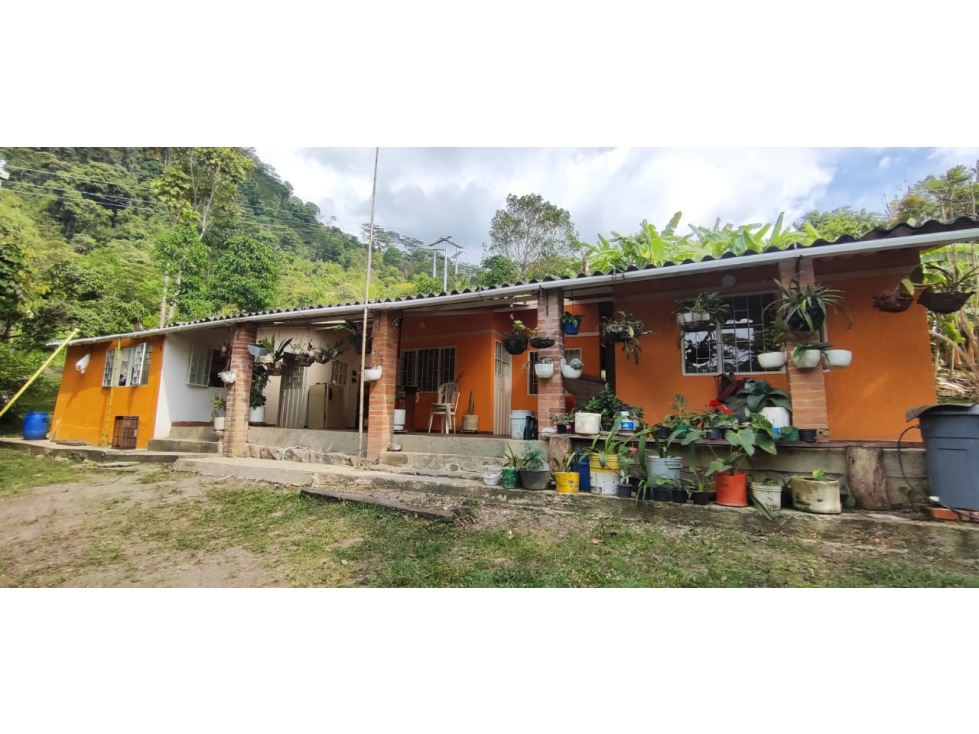 Venta de finca de 4.7 fanegadas en 550 mill en Tena Cund, COL