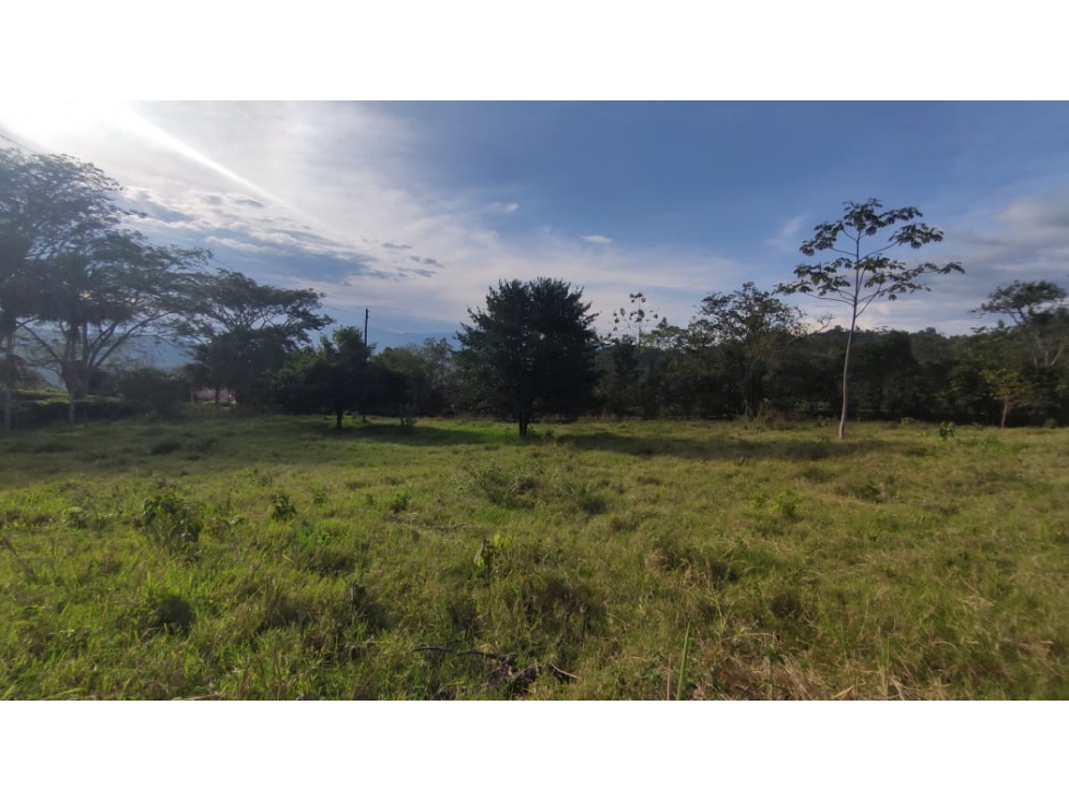 LOTE campestre de 5000 m2 en La mesa, la gran via, cundinamarca — foto 5
