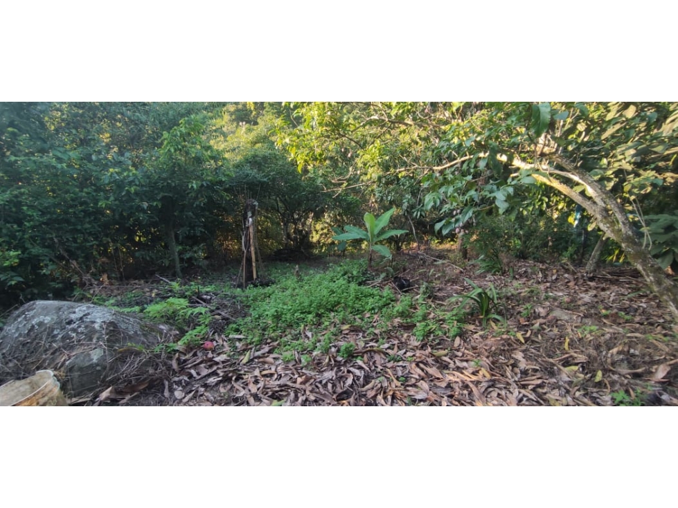 Se vende casa lote de 2000 M2 aprox en 179 mill en La Mesa Cund, Col