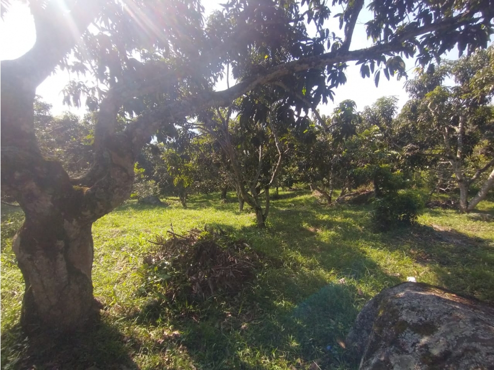 Se vende lote de 4700 M2 y casa de 50 M2 en La Mesa Cund, Colombia