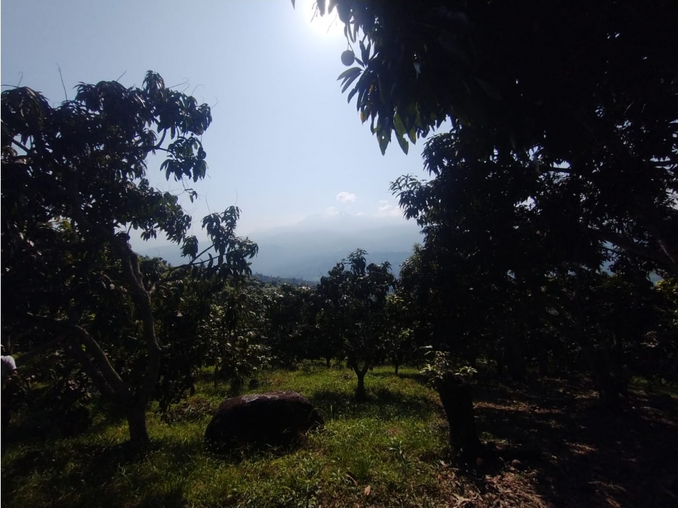 VENTA de lote de 4700 M2 en 370 mill neg, en La Mesa Cund, COL