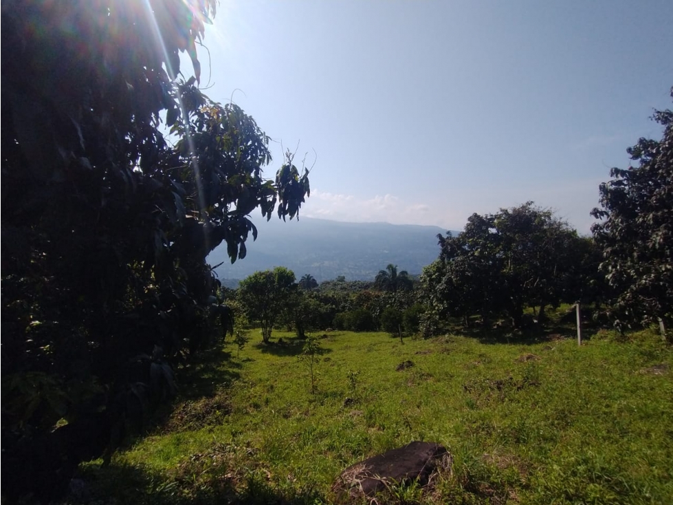 Se vende lote de 4700 M2 en La Mesa Cund, COL, en 370 millones