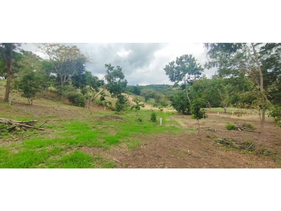Venta de lote de 1992 M2 en 150 mill en San Joaquin Ins de La Mesa