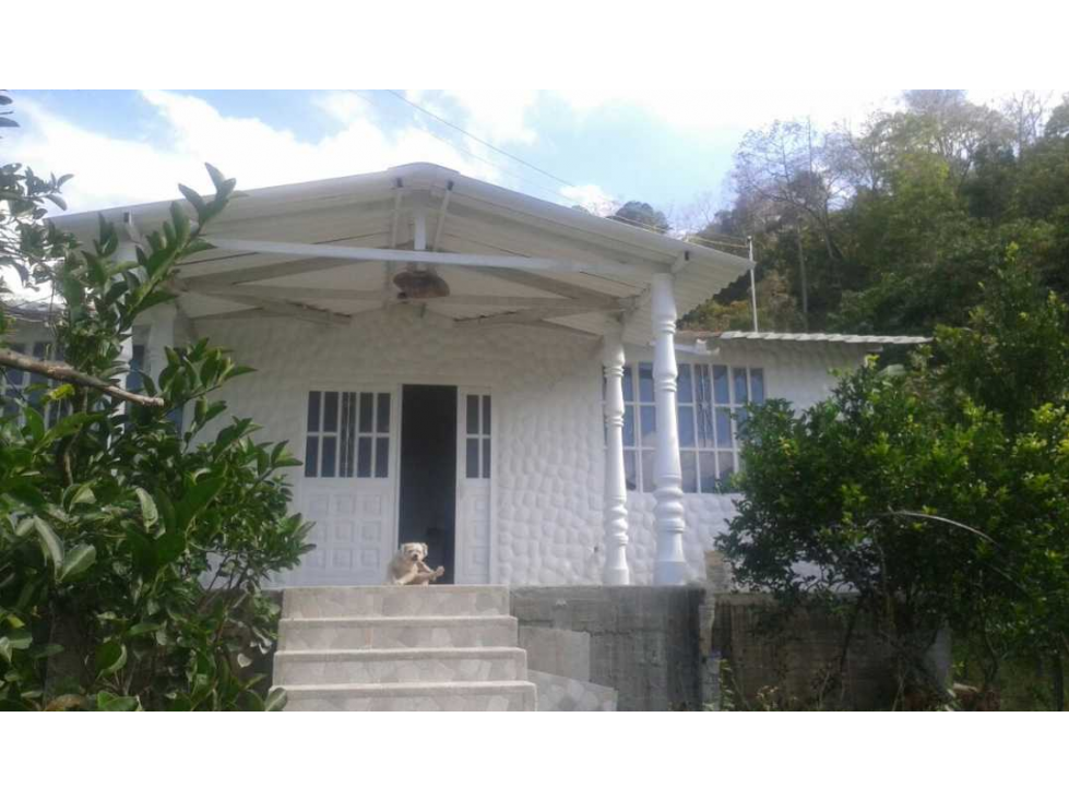 Venta de casalote de 1600 M2 en 379 mill en Tena Cund COL - 3
