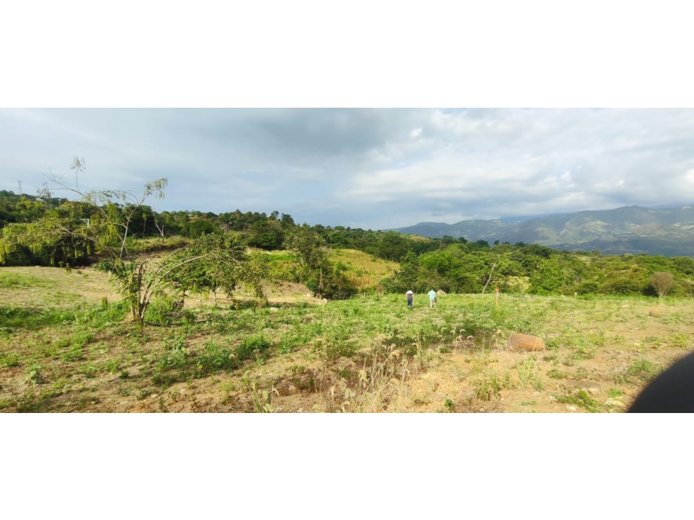 Venta de lote de 2420 M2 en 195 mill en La Mesa Cund, COL