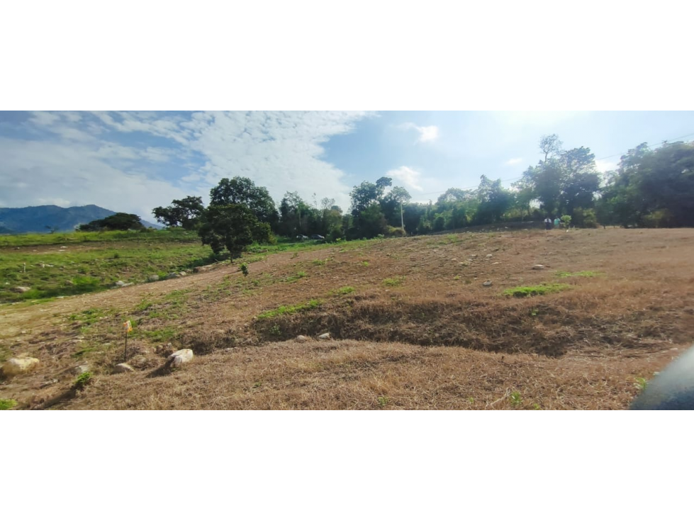 Venta de lote de 1586 M2 en 140 mill en La Mesa Cund, col