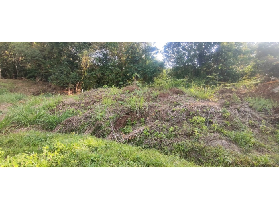 venta de lote de 2327 M2 en 235 mill negociables en La Mesa Cund. — foto 3