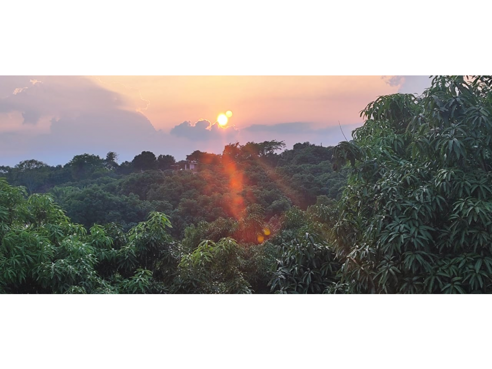 Venta de finca de 4754 M2 en 850 mill en La Mesa Cund. — foto 6