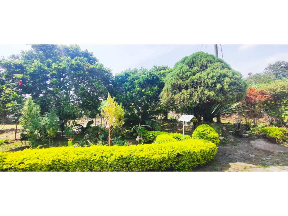 Venta de casalote de 543 M2 en 450 mill en La Mesa Cund, COL