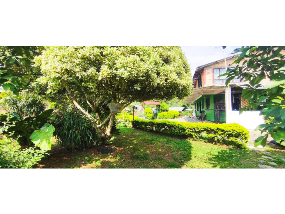 Venta de casalote de 543 M2 en 450 mill en La Mesa Cund, COL — foto 2