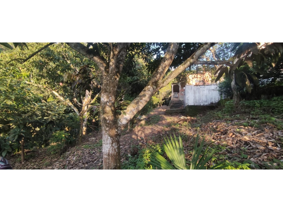 Se vende casa lote de 2000 M2 aprox en 179 mill en La Mesa Cund, Col — foto 2
