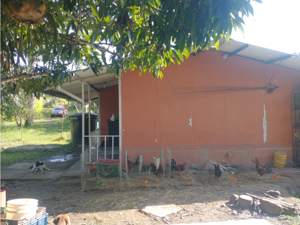 Se vende lote de 4700 M2 y casa de 50 M2 en La Mesa Cund, Colombia — foto 2