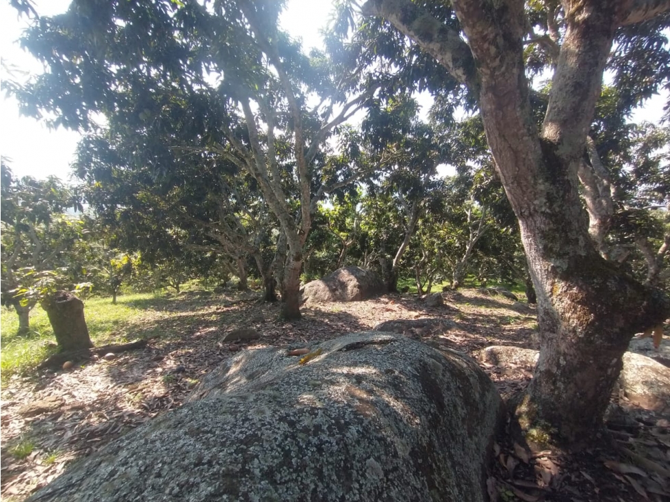 VENTA de lote de 4700 M2 en 370 mill neg, en La Mesa Cund, COL — foto 2