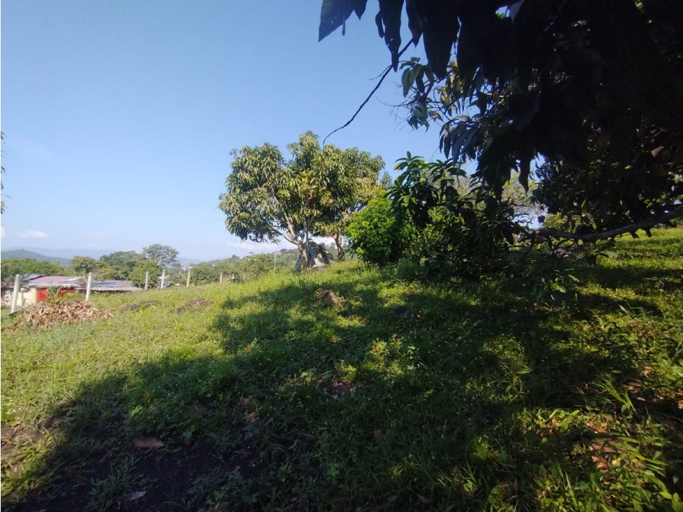 Se vende lote de 4700 M2 en La Mesa Cund, COL, en 370 millones — foto 2