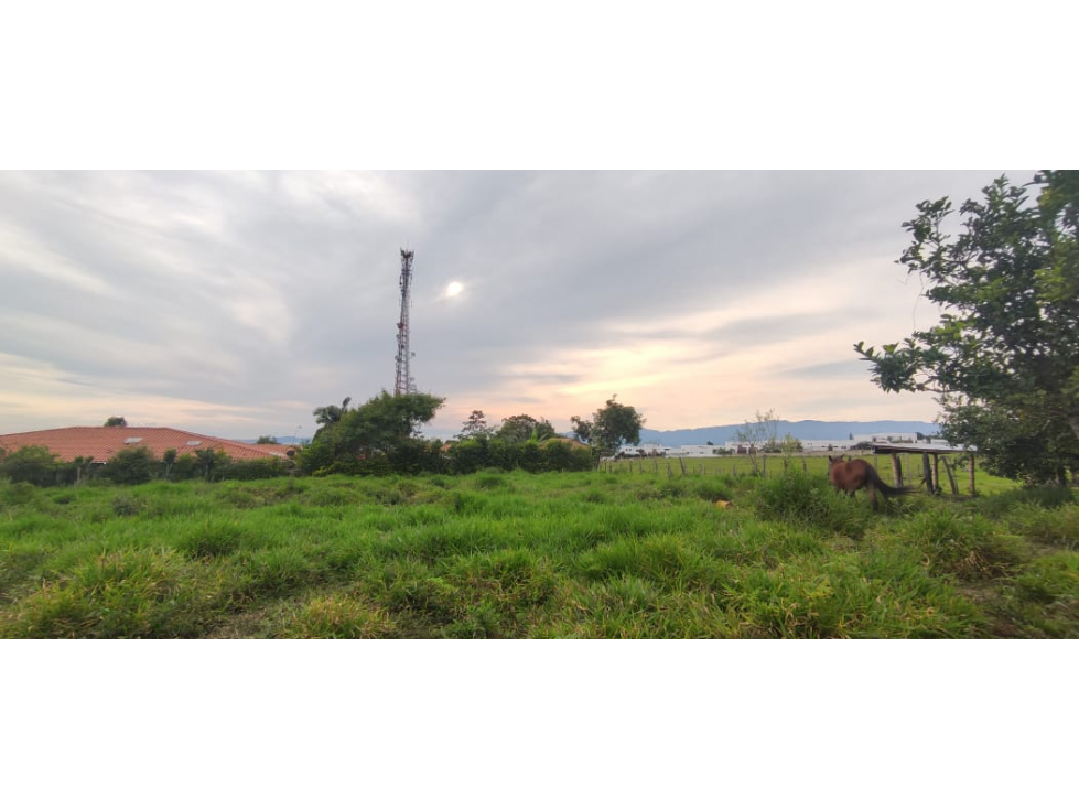 Se vende lote de 4000 M2 en 2000 mill en La Mesa Cund, COL. - 3