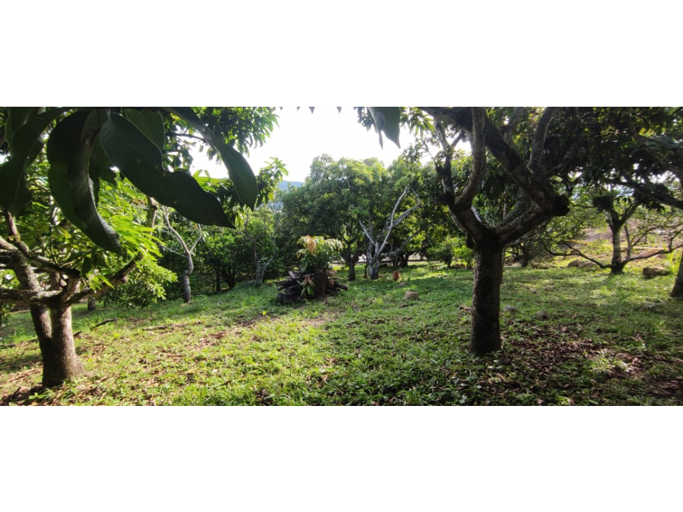 En busqueda de terreno en La Mesa Cund Esta es tu oportunidad — foto 2