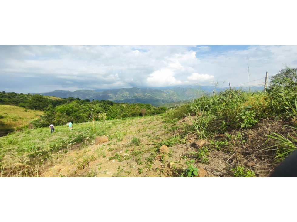 Venta de lote de 2420 M2 en 195 mill en La Mesa Cund, COL — foto 2