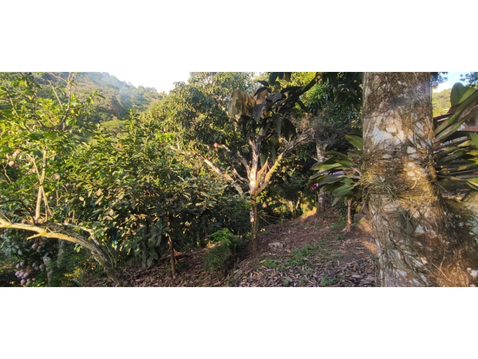 Se vende casa lote de 2000 M2 aprox en 179 mill en La Mesa Cund, Col — foto 3