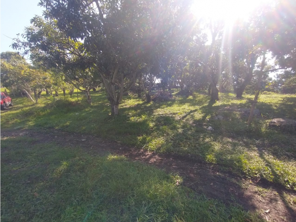 Se vende lote de 4700 M2 y casa de 50 M2 en La Mesa Cund, Colombia — foto 3