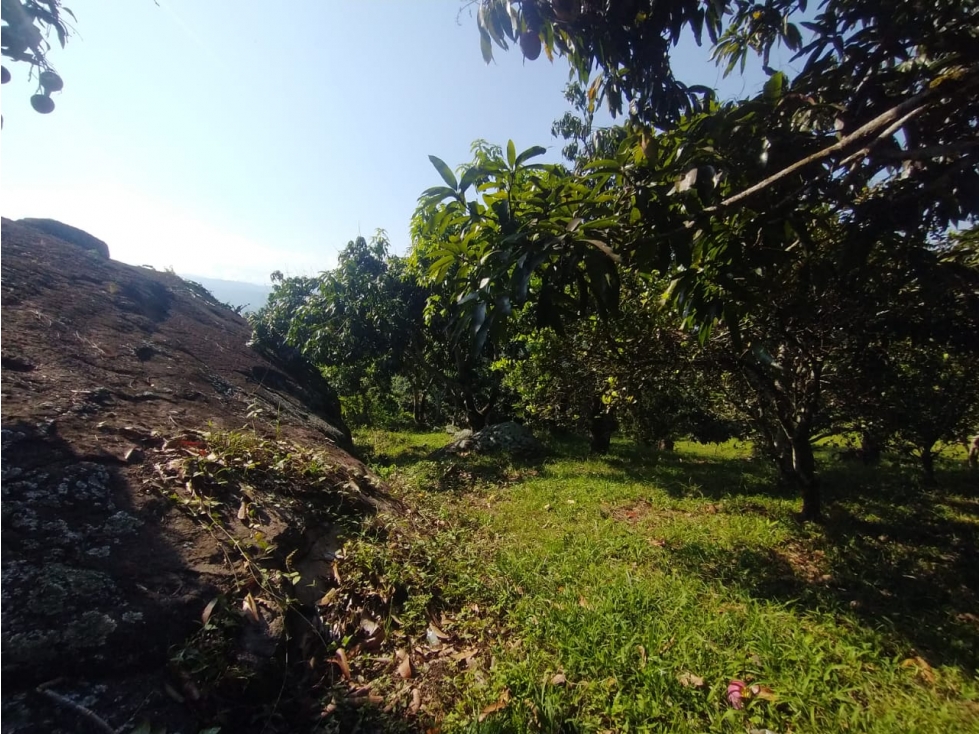 Se vende lote de 4700 M2 en La Mesa Cund, COL, en 370 millones — foto 3