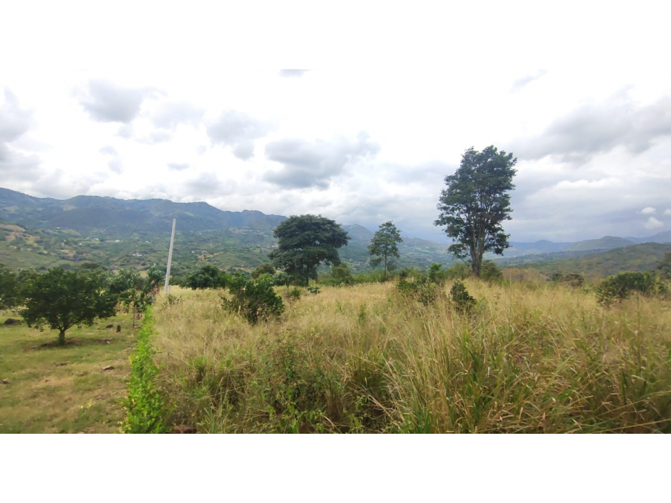 Lotes de 2000 M2 en urbanización, 200 mill en La Mesa Cund, COL. — foto 3