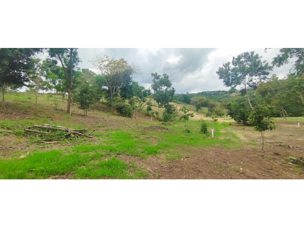 Venta de lote de 1992 M2 en 150 mill en San Joaquin Ins de La Mesa — foto 2