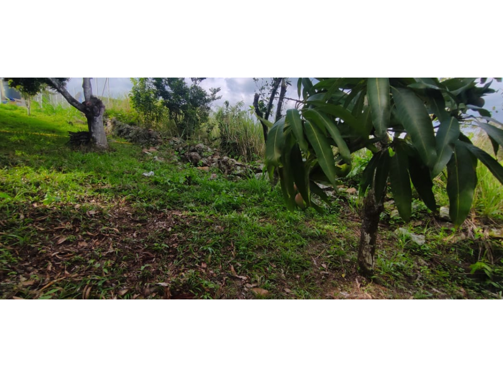 En busqueda de terreno en La Mesa Cund Esta es tu oportunidad — foto 3