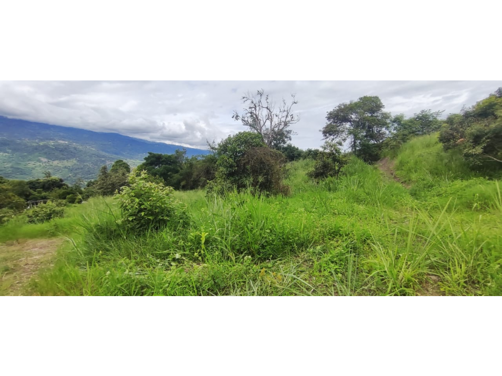 Venta de lote de 2000 M2 en La Gran Via de Tena ,excelente vista — foto 3