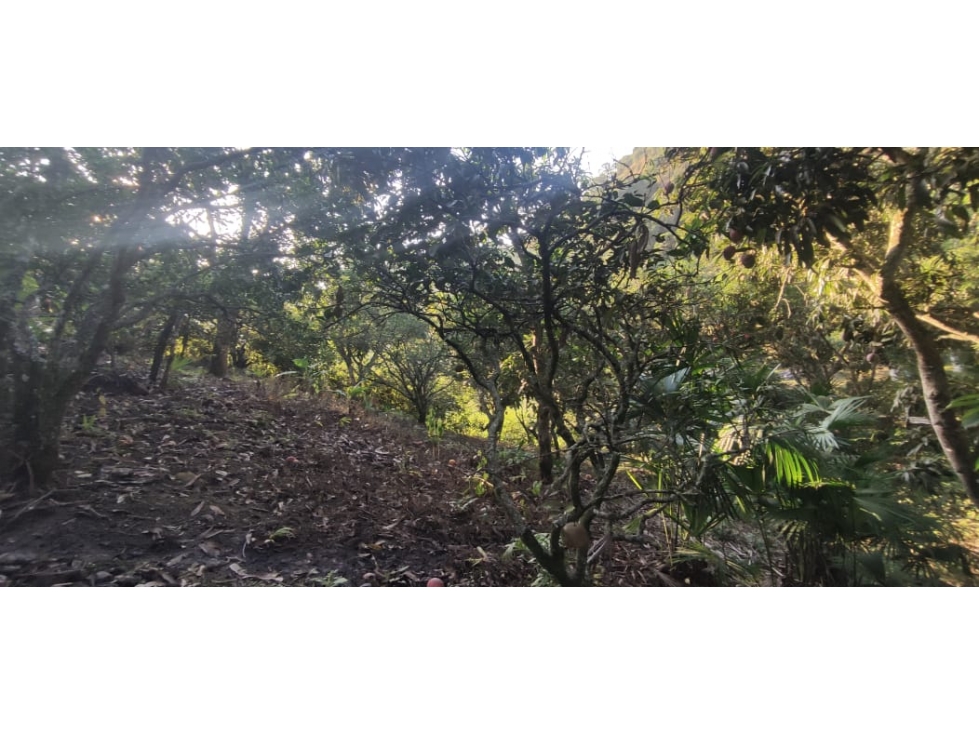 Se vende casa lote de 2000 M2 aprox en 179 mill en La Mesa Cund, Col — foto 4