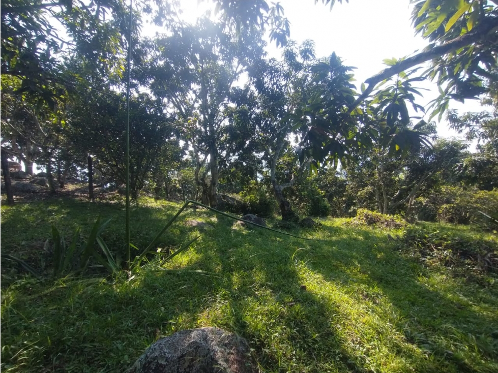 Se vende lote de 4700 M2 y casa de 50 M2 en La Mesa Cund, Colombia — foto 4