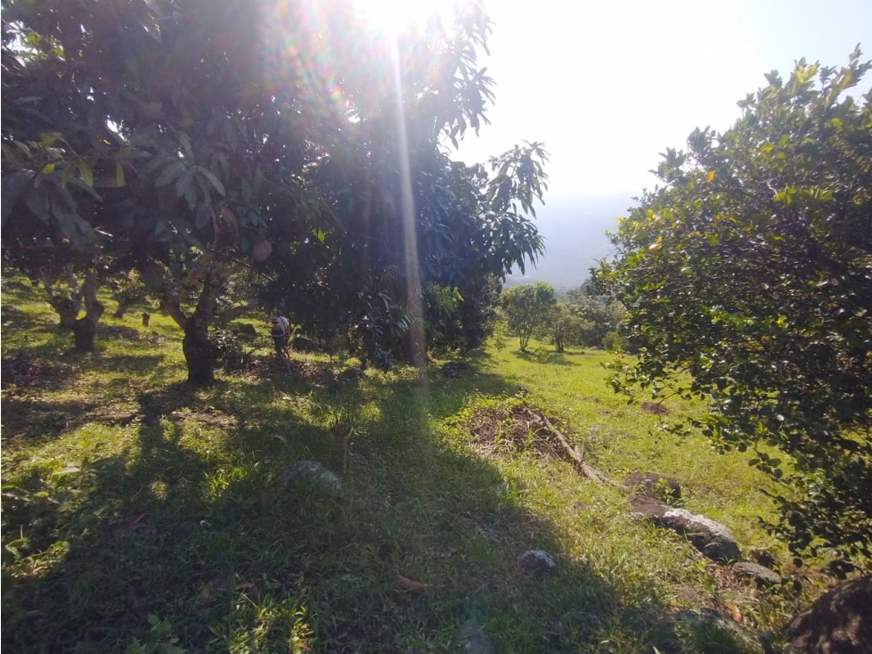 Se vende lote de 4700 M2 en La Mesa Cund, COL, en 370 millones — foto 4