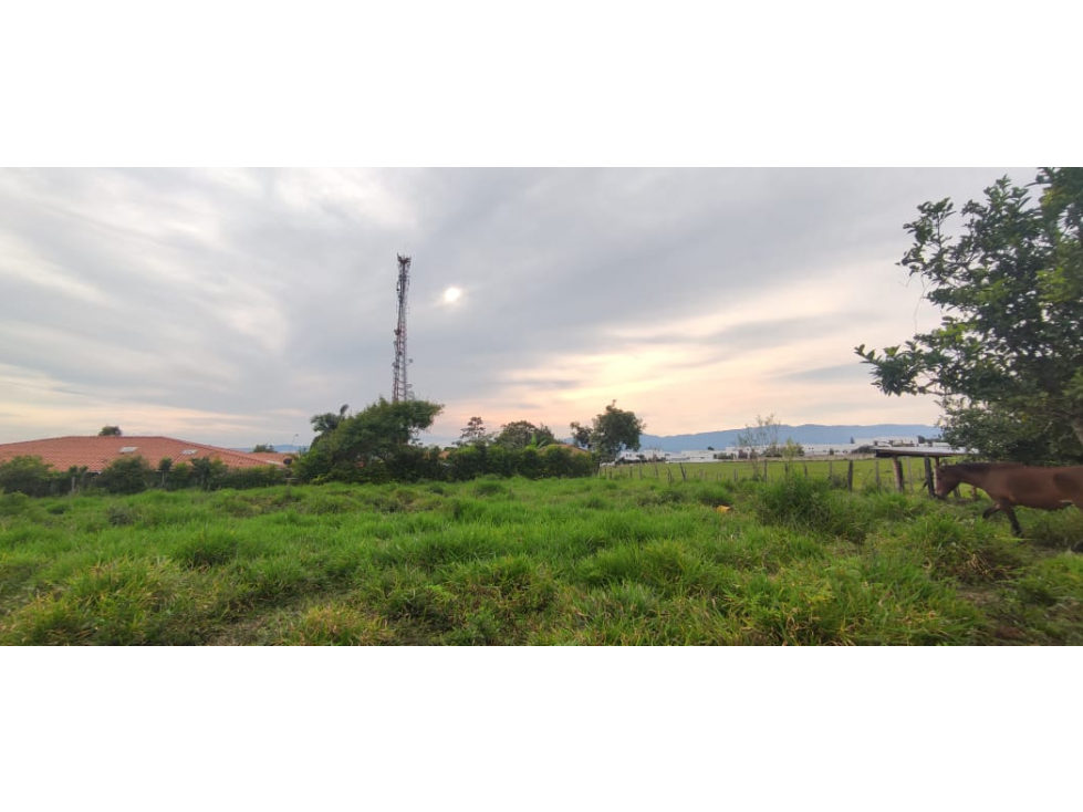 Se vende lote de 4000 M2 en 2000 mill en La Mesa Cund, COL. - 5