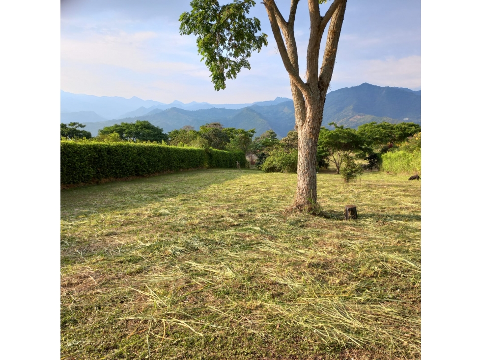 Se vende lote de 2000 M2 en 260 mill negociables en La Mesa Cund, COL — foto 4