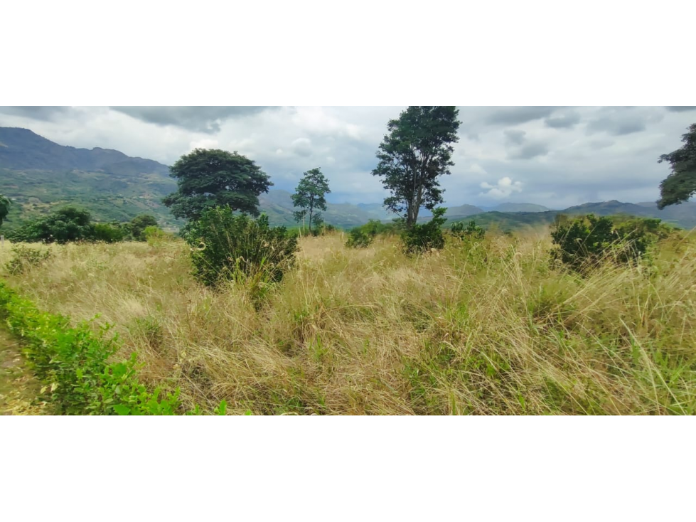 Lotes de 2000 M2 en urbanización, 200 mill en La Mesa Cund, COL. — foto 4