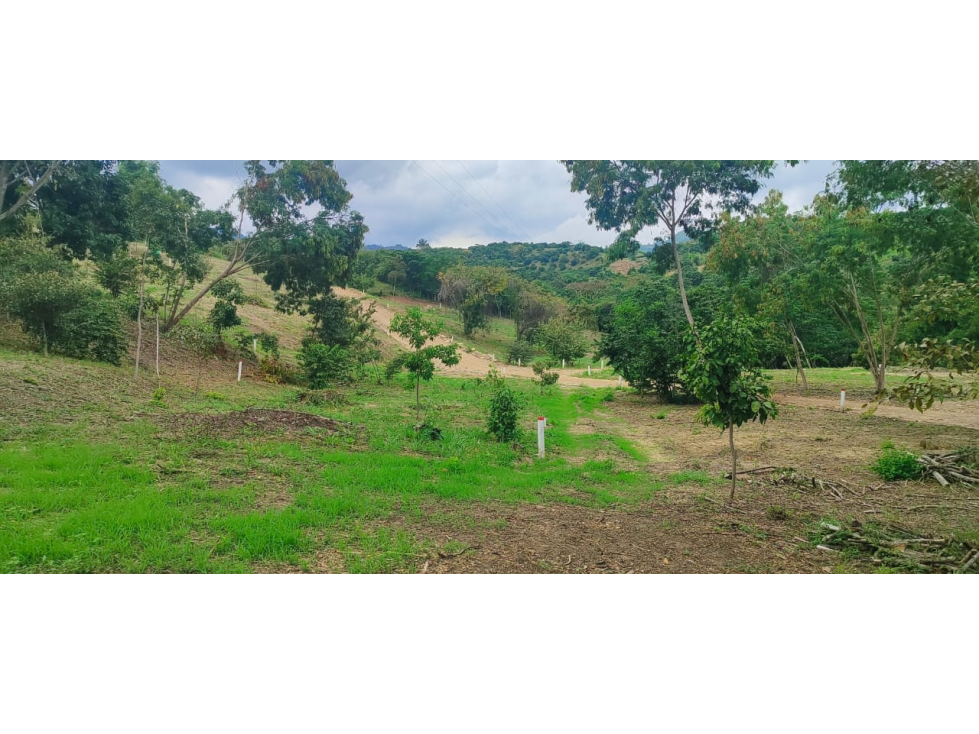 Venta de lote de 1992 M2 en 150 mill en San Joaquin Ins de La Mesa — foto 3