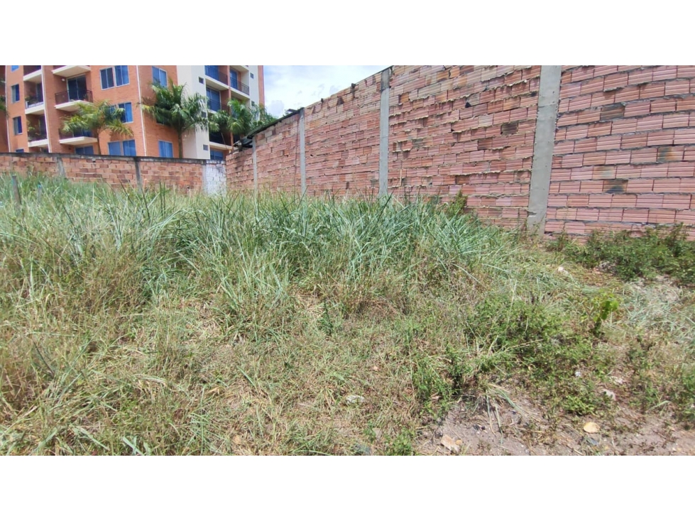 Venta de lote urbano de 160 M2 en 129 mill en San Joaquin, La Mesa - 4