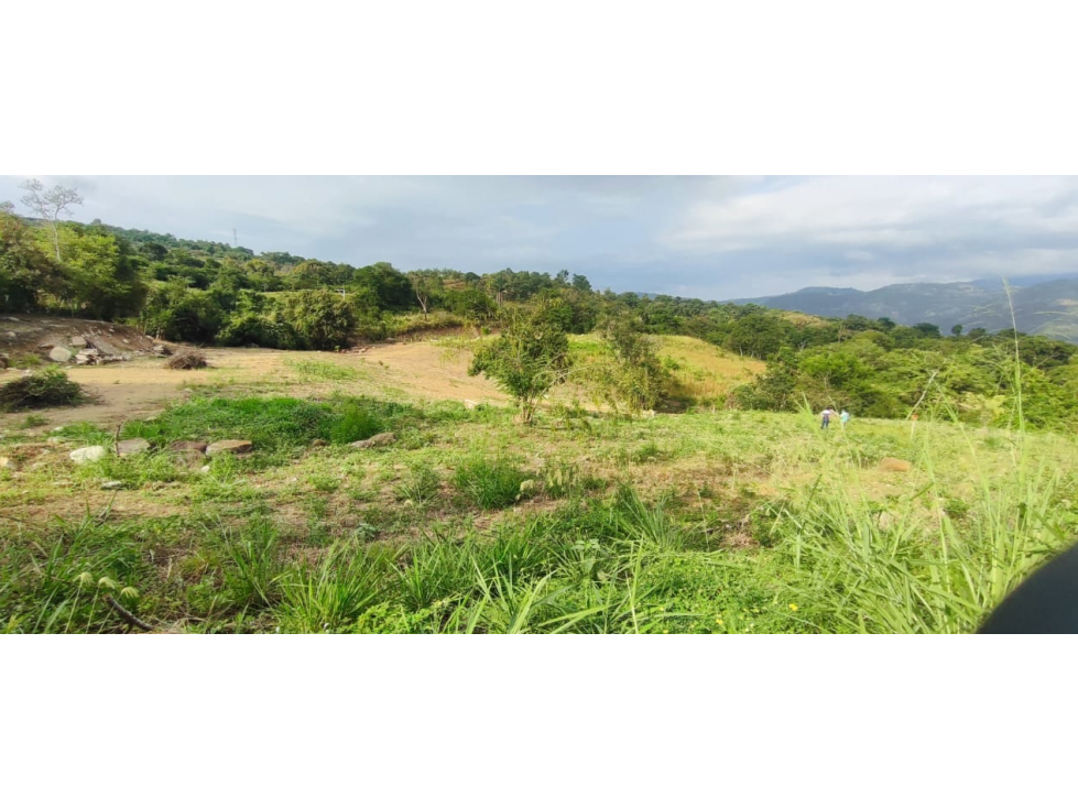 Venta de lote de 2420 M2 en 195 mill en La Mesa Cund, COL — foto 4